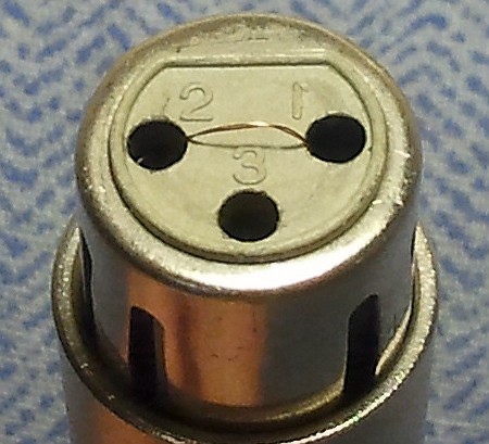 Zworka desymetryzująca